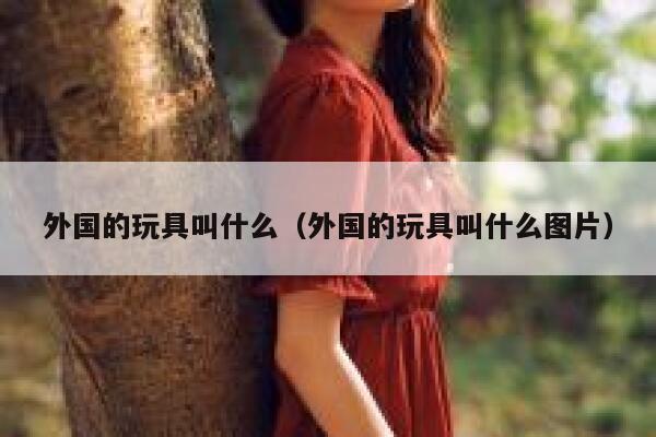 外国的玩具叫什么（外国的玩具叫什么图片） 第1张