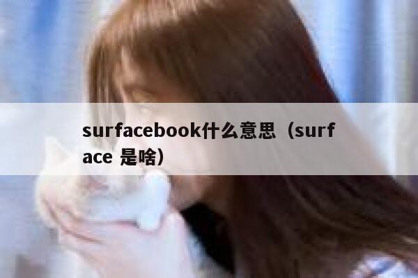 surfacebook什么意思（surface 是啥） 第1张