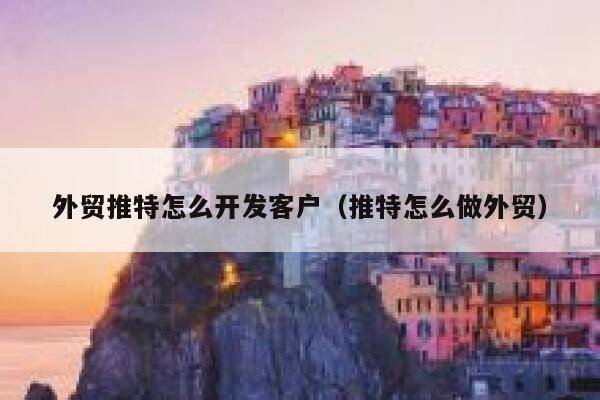 外贸推特怎么开发客户（推特怎么做外贸） 第1张