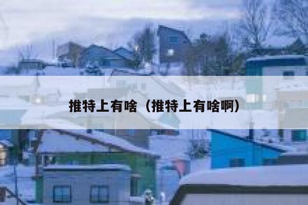 推特上有啥（推特上有啥啊） 第1张