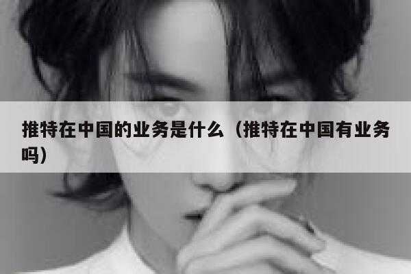 推特在中国的业务是什么（推特在中国有业务吗） 第1张