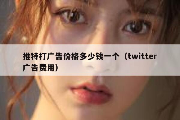 推特打广告价格多少钱一个（twitter广告费用） 第1张