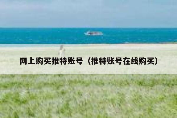 网上购买推特账号（推特账号在线购买） 第1张