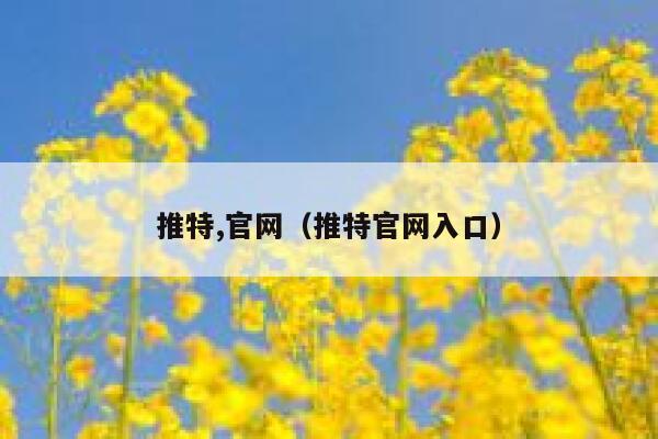 推特,官网（推特官网入口） 第1张