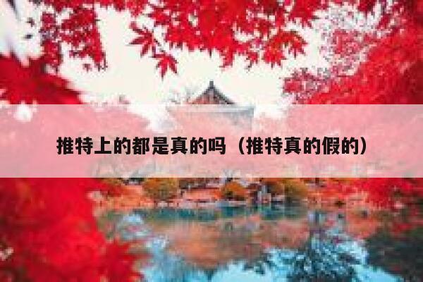推特上的都是真的吗(推特真的假的) 第1张 推特上的都是真的吗(推特真的假的) 第1张