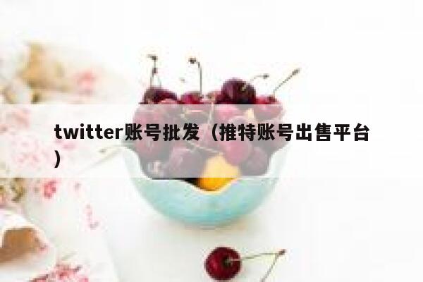 twitter账号批发(推特账号出售平台) 第1张 twitter账号批发(推特账号出售平台) 第1张