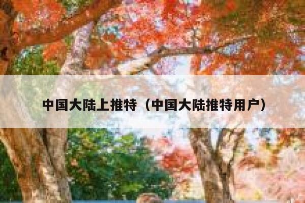 中国大陆上推特(中国大陆推特用户) 第1张 中国大陆上推特(中国大陆推特用户) 第1张