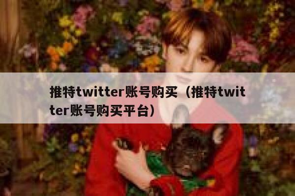 推特twitter账号购买（推特twitter账号购买平台） 第1张
