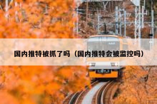 国内推特被抓了吗(国内推特会被监控吗) 第1张 国内推特被抓了吗(国内推特会被监控吗) 第1张