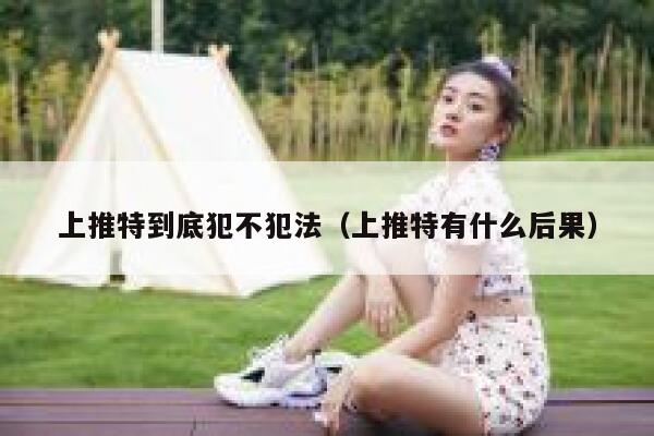 上推特到底犯不犯法(上推特有什么后果) 第1张 上推特到底犯不犯法(上推特有什么后果) 第1张