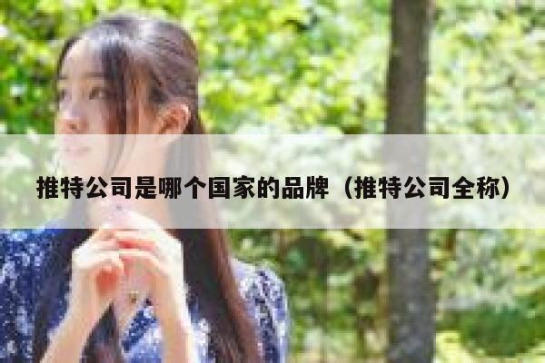 推特公司是哪个国家的品牌（推特公司全称） 第1张
