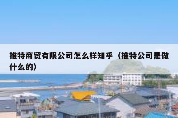 推特商贸有限公司怎么样知乎(推特公司是做什么的) 第1张 推特商贸有限公司怎么样知乎(推特公司是做什么的) 第1张