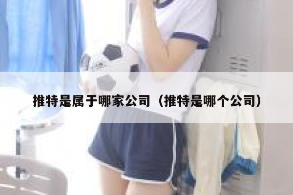 推特是属于哪家公司(推特是哪个公司) 第1张 推特是属于哪家公司(推特是哪个公司) 第1张