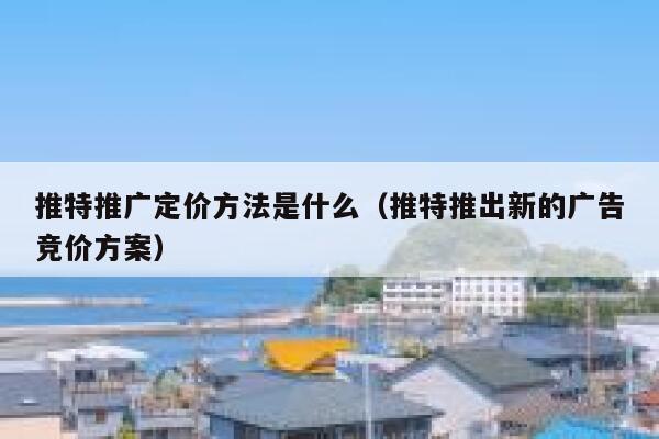 推特推广定价方法是什么(推特推出新的广告竞价方案) 第1张 推特推广定价方法是什么(推特推出新的广告竞价方案) 第1张