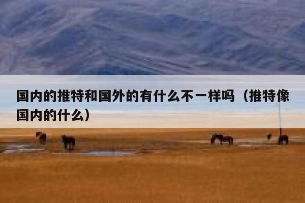 国内的推特和国外的有什么不一样吗（推特像国内的什么） 第1张
