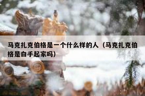 马克扎克伯格是一个什么样的人(马克扎克伯格是白手起家吗) 第1张 马克扎克伯格是一个什么样的人(马克扎克伯格是白手起家吗) 第1张