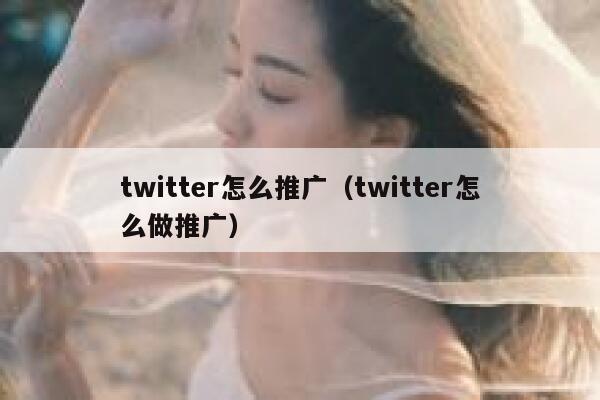 twitter怎么推广(twitter怎么做推广) 第1张 twitter怎么推广(twitter怎么做推广) 第1张