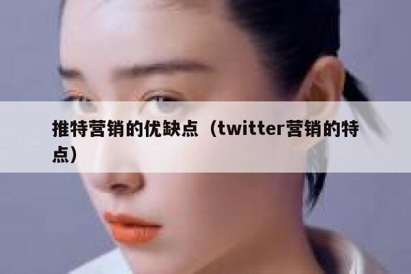 推特营销的优缺点（twitter营销的特点） 第1张