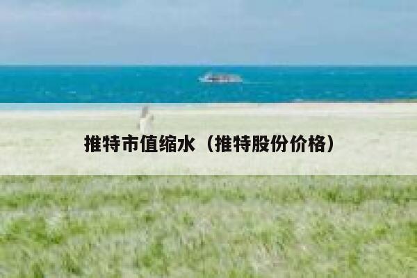 推特市值缩水（推特股份价格） 第1张