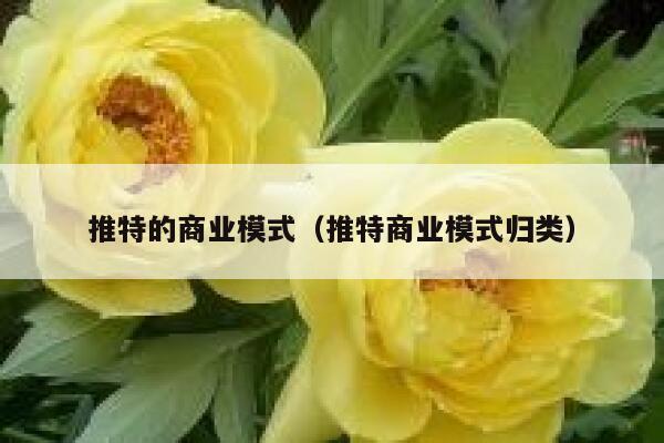 推特的商业模式(推特商业模式归类) 第1张 推特的商业模式(推特商业模式归类) 第1张