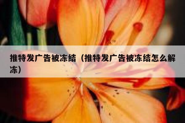 推特发广告被冻结（推特发广告被冻结怎么解冻） 第1张