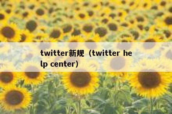 twitter新规(twitter help center) 第1张 twitter新规(twitter help center) 第1张