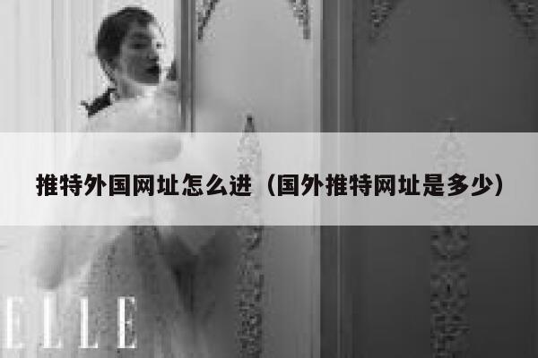 推特外国网址怎么进（国外推特网址是多少） 第1张