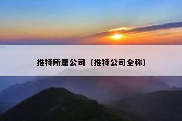 推特所属公司（推特公司全称） 第1张