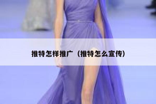 推特怎样推广（推特怎么宣传） 第1张