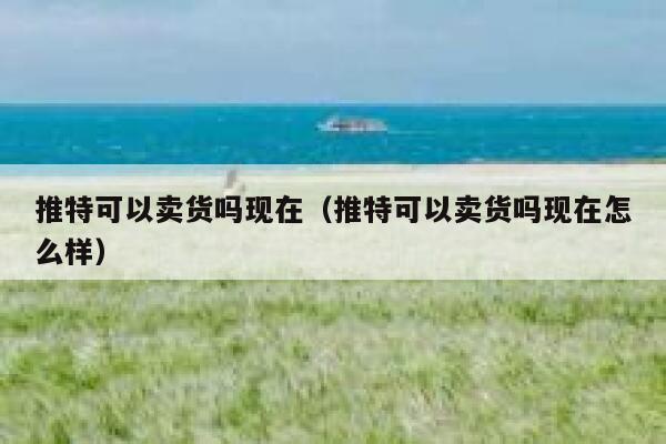 推特可以卖货吗现在（推特可以卖货吗现在怎么样） 第1张