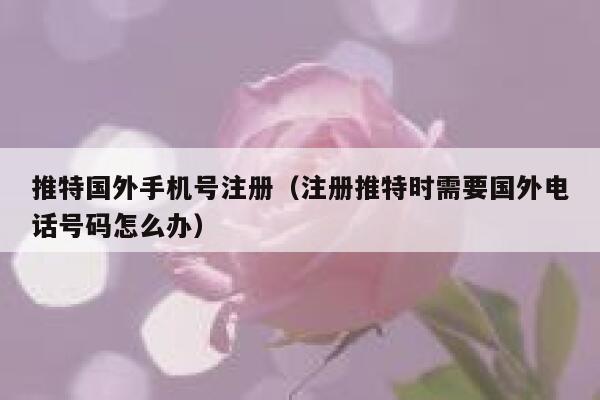 推特国外手机号注册（注册推特时需要国外电话号码怎么办） 第1张