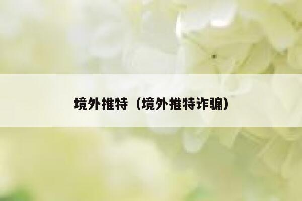 境外推特（境外推特诈骗） 第1张
