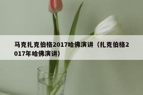 马克扎克伯格2017哈佛演讲（扎克伯格2017年哈佛演讲） 第1张