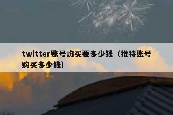 twitter账号购买要多少钱(推特账号购买多少钱) 第1张 twitter账号购买要多少钱(推特账号购买多少钱) 第1张