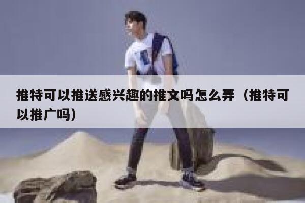 推特可以推送感兴趣的推文吗怎么弄(推特可以推广吗) 第1张 推特可以推送感兴趣的推文吗怎么弄(推特可以推广吗) 第1张