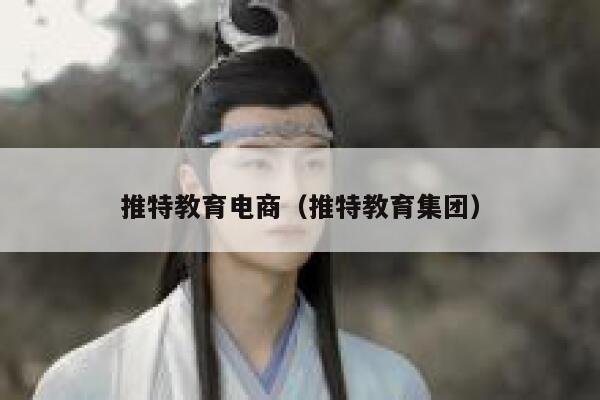 推特教育电商（推特教育集团） 第1张