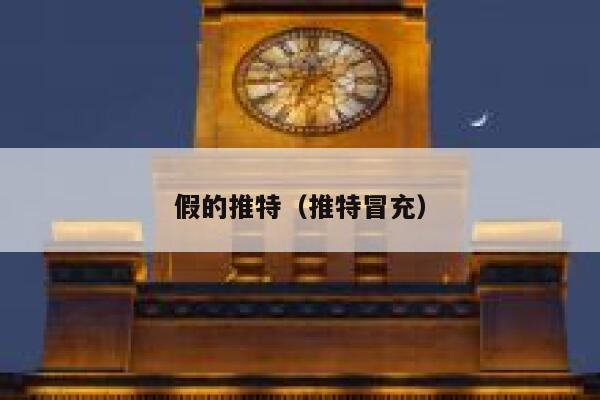 假的推特（推特冒充） 第1张