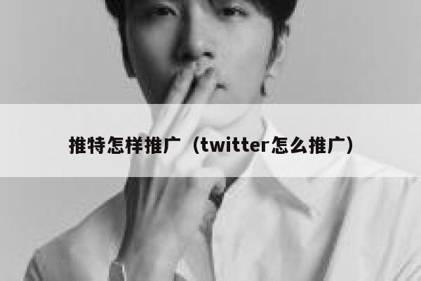 推特怎样推广（twitter怎么推广） 第1张