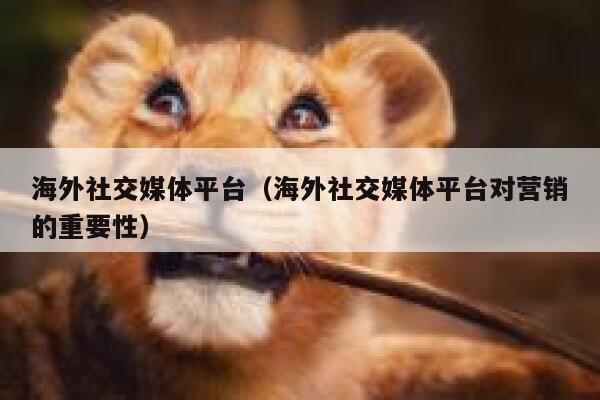 海外社交媒体平台（海外社交媒体平台对营销的重要性） 第1张