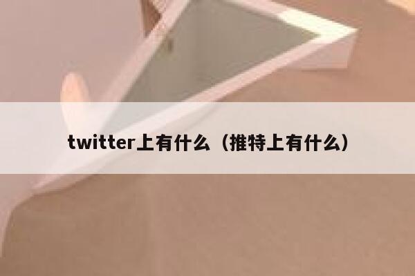 twitter上有什么(推特上有什么) 第1张 twitter上有什么(推特上有什么) 第1张