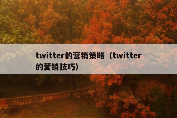 twitter的营销策略(twitter的营销技巧) 第1张 twitter的营销策略(twitter的营销技巧) 第1张