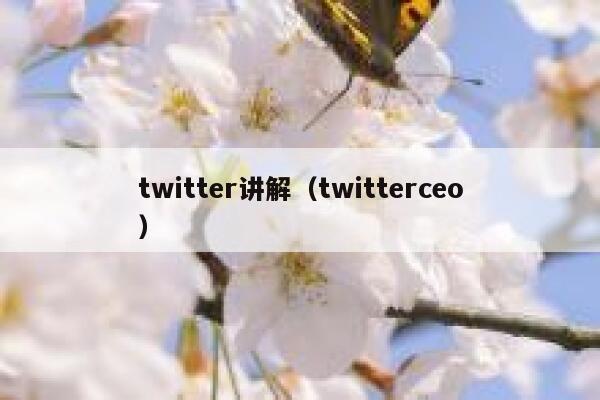twitter讲解（twitterceo） 第1张