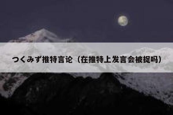 つくみず推特言论（在推特上发言会被捉吗） 第1张