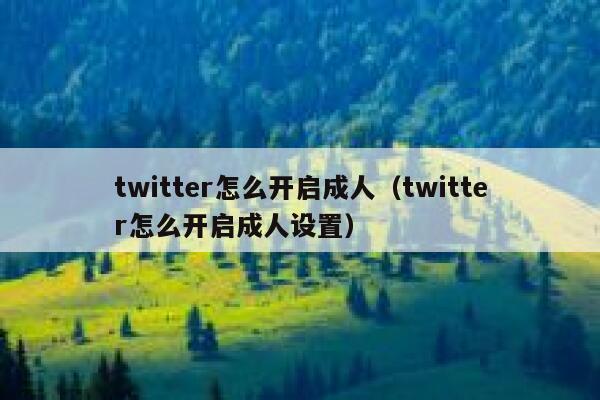 twitter怎么开启成人（twitter怎么开启成人设置） 第1张