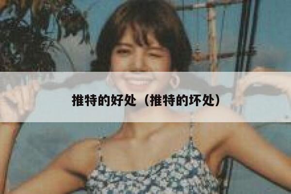 推特的好处(推特的坏处) 第1张 推特的好处(推特的坏处) 第1张