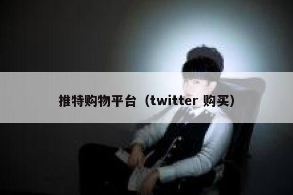 推特购物平台(twitter 购买) 第1张 推特购物平台(twitter 购买) 第1张