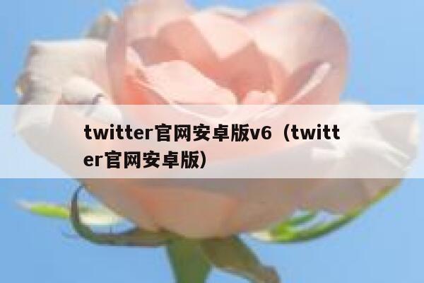 twitter官网安卓版v6(twitter官网安卓版) 第1张 twitter官网安卓版v6(twitter官网安卓版) 第1张