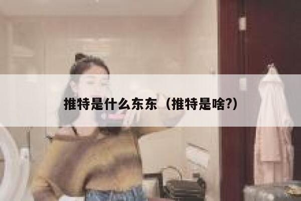 推特是什么东东(推特是啥?) 第1张 推特是什么东东(推特是啥?) 第1张