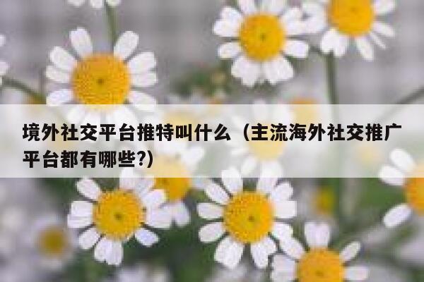 境外社交平台推特叫什么(主流海外社交推广平台都有哪些?) 第1张 境外社交平台推特叫什么(主流海外社交推广平台都有哪些?) 第1张