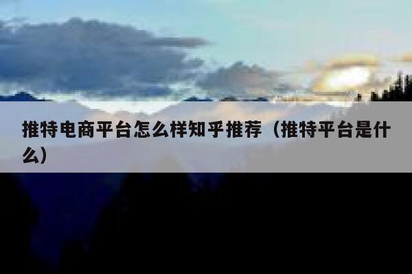 推特电商平台怎么样知乎推荐(推特平台是什么) 第1张 推特电商平台怎么样知乎推荐(推特平台是什么) 第1张